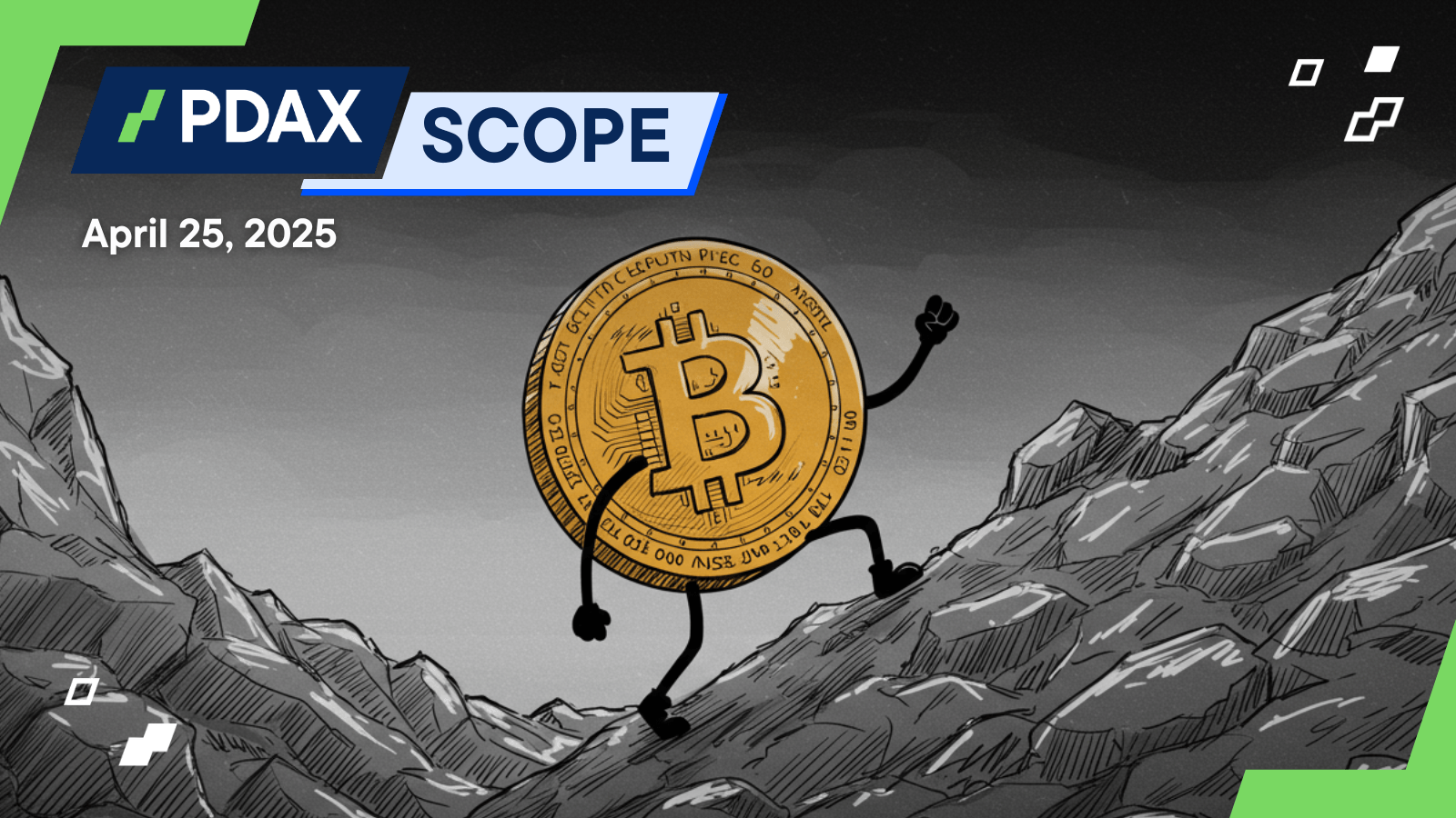 20250425 Pdaxscope.png