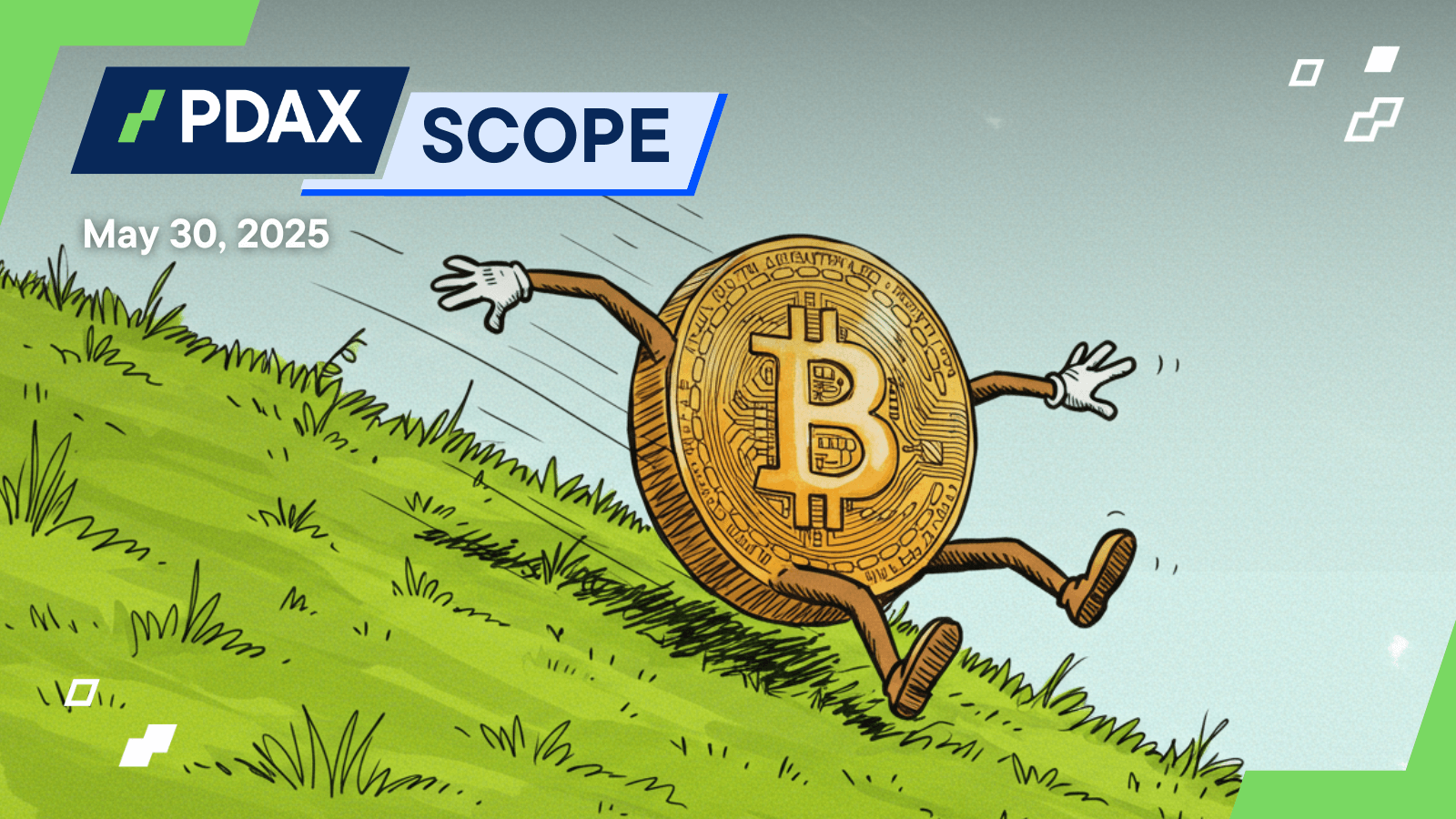 20250530 PDAXScope.png