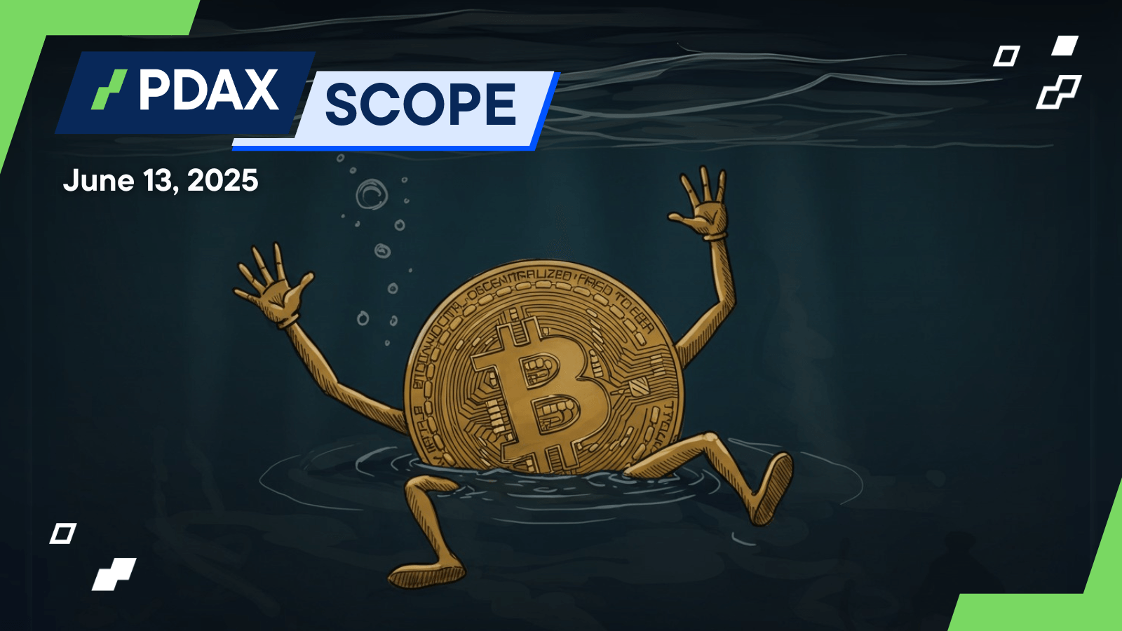 20250613 PDAXScope.png