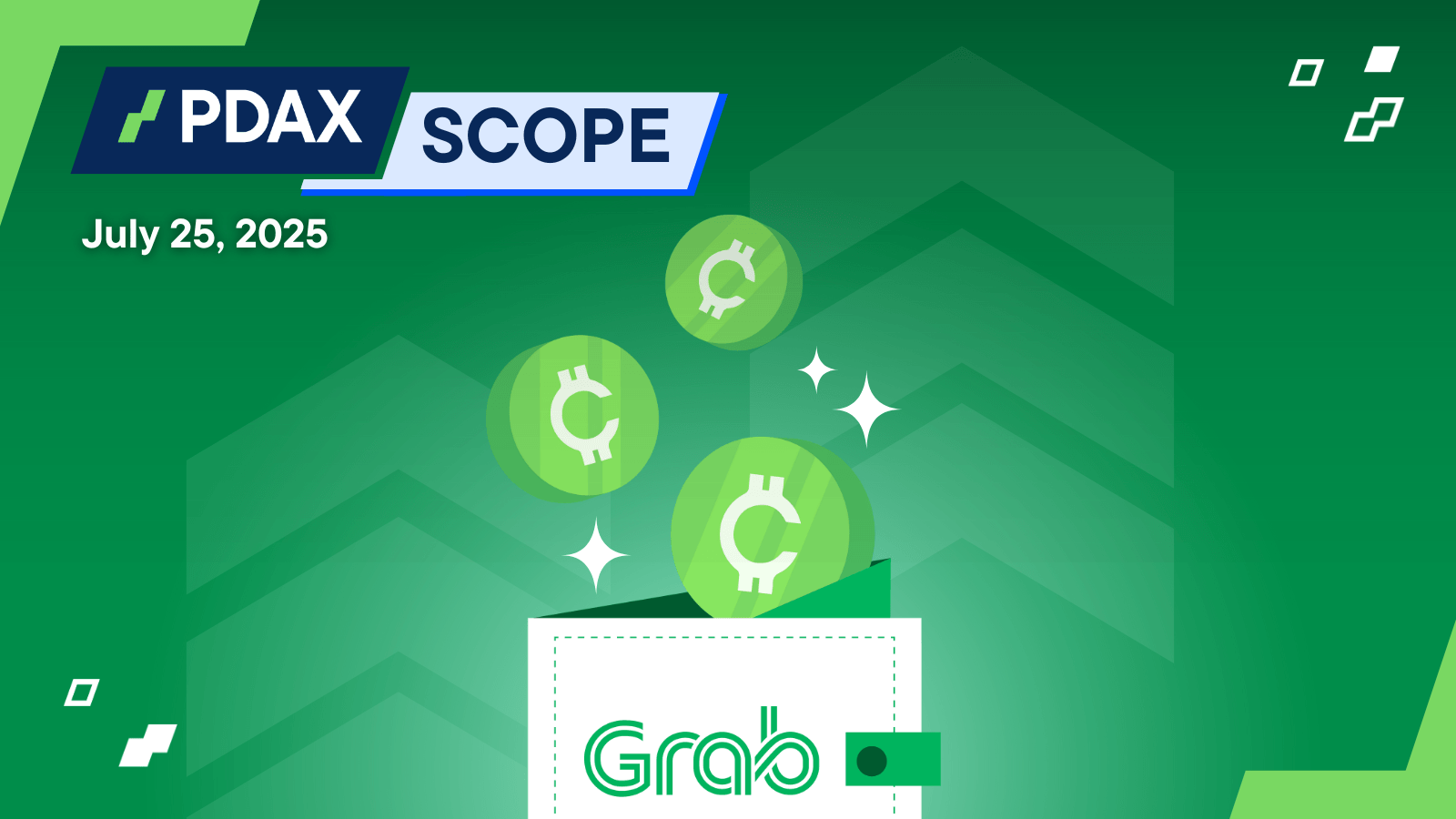 20250725 PDAXScope.png