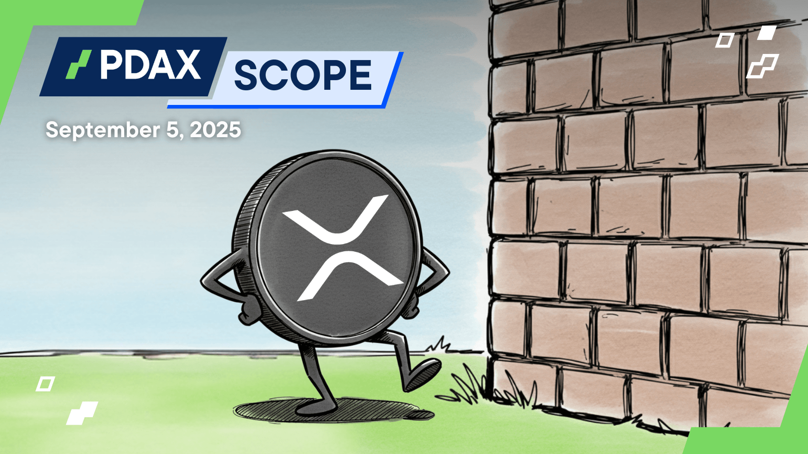 20250905 PDAXScope.png