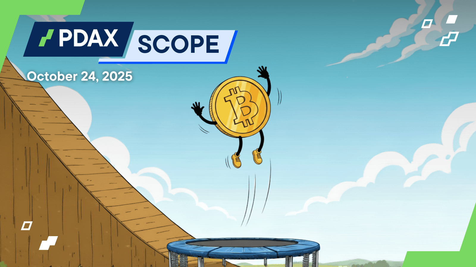 20251024 PDAXScope.png