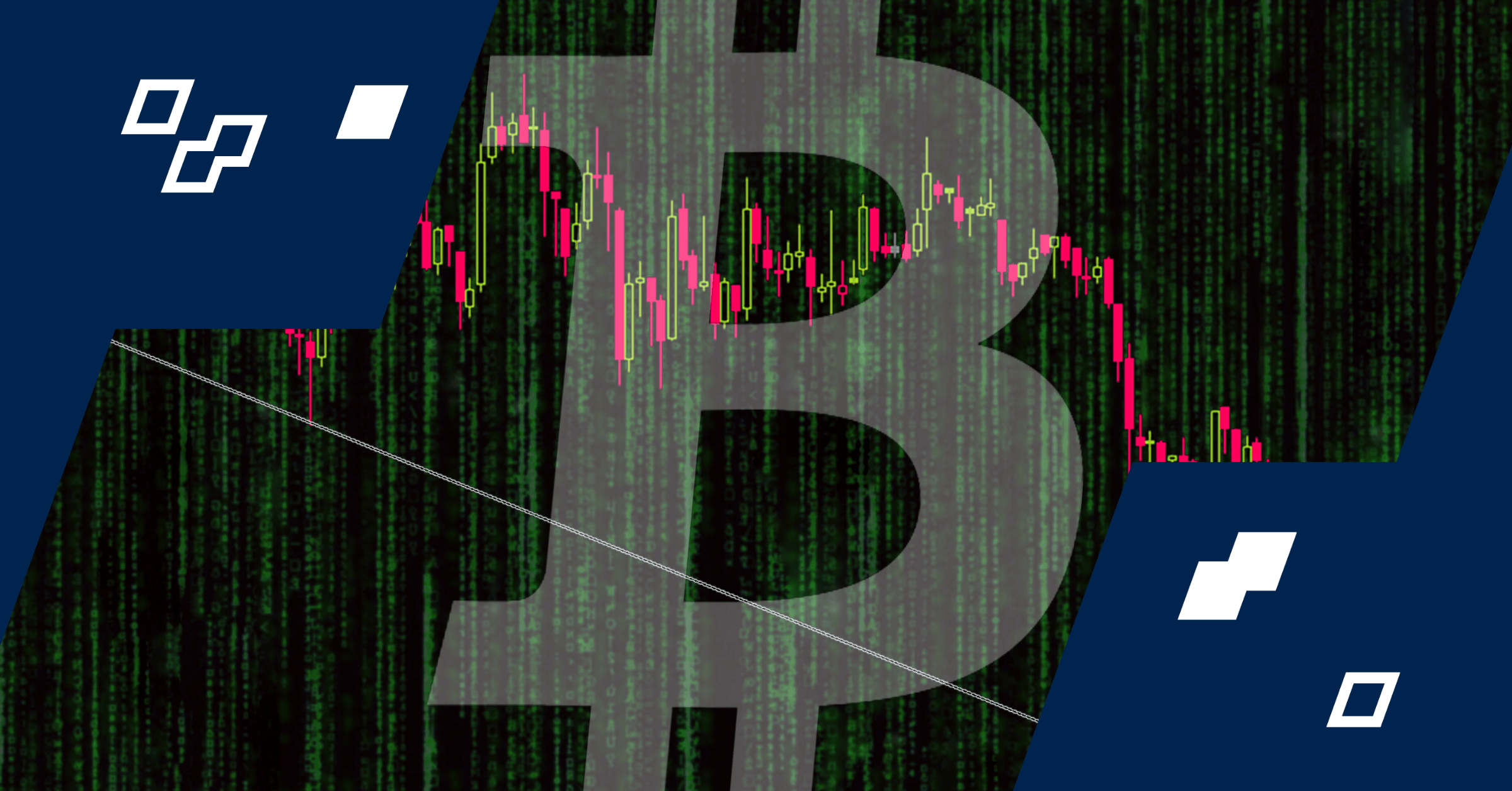 Copy of PDAXScope learn banner (4).png