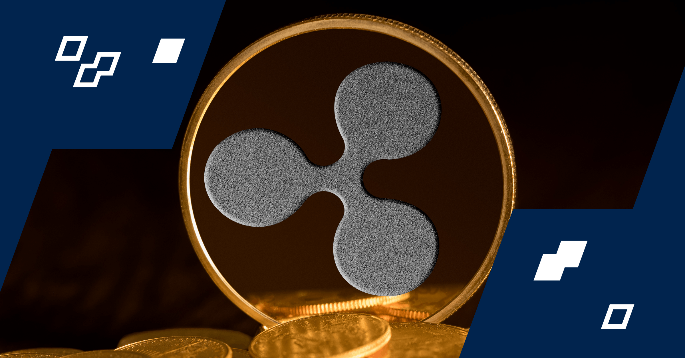 PDAXScope learn banner (04-05-2024).png