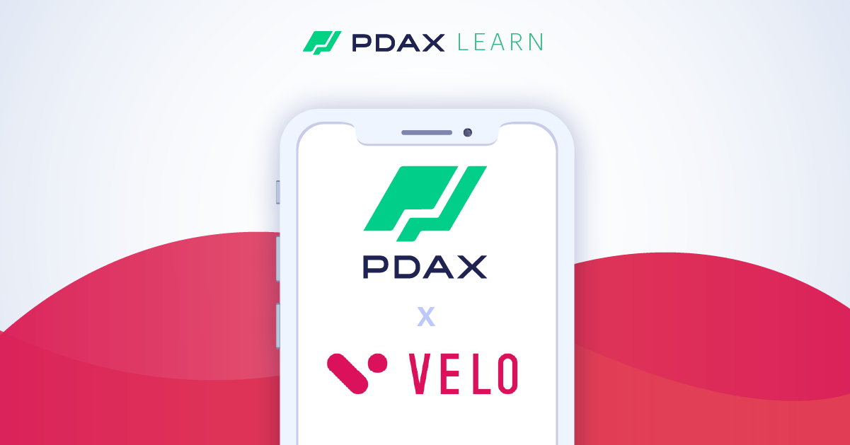 PDAX x Velo.png