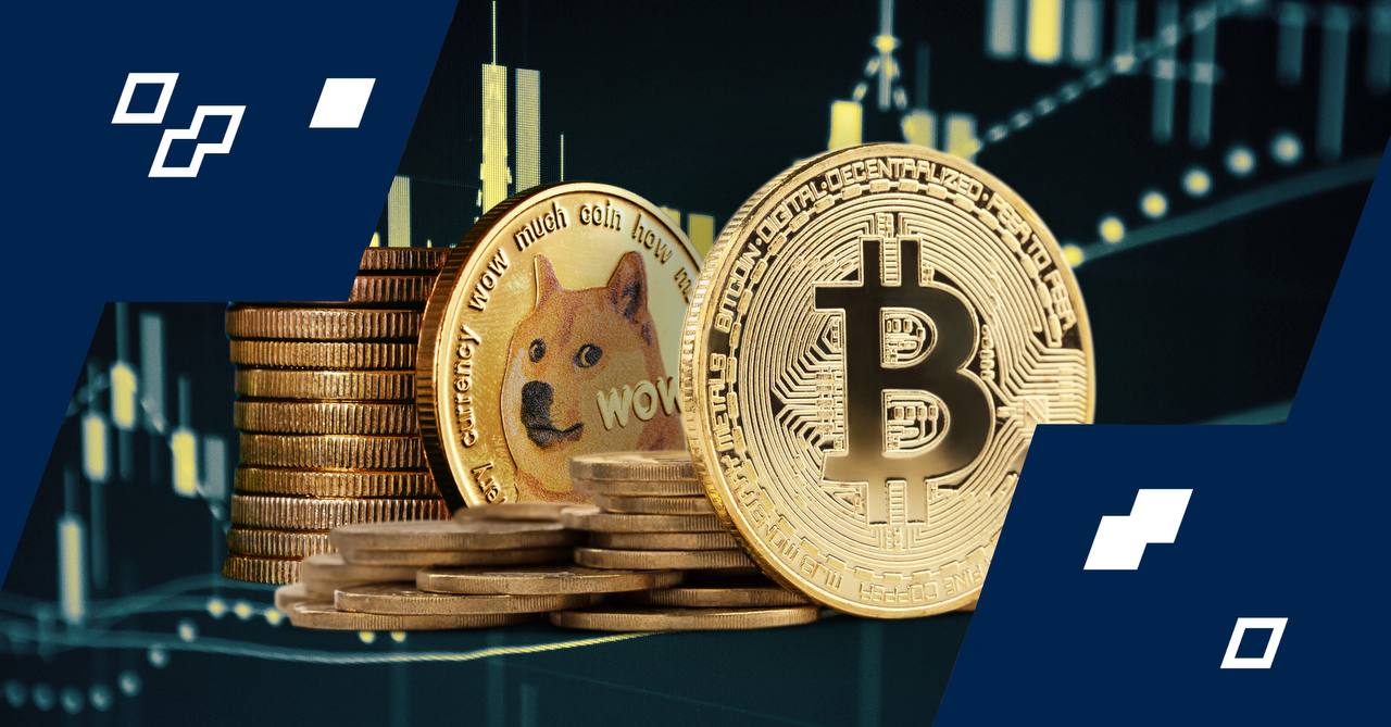 photo_2024-03-01 13.11.26.jpeg